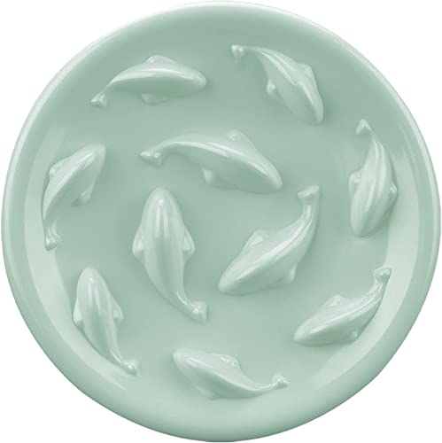 Slow Feeder Bowl for Cats and Small Dogs,Cilkus Fish Pool Design, Fun Interactive Bloat Stop Puzzle Feeder Bowl Healthy Eating Diet Made of Melamine Food Grade Material Dishwasher Safe