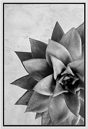 Woodrose Framed Canvas Print Wall Art Grayscale Lipstick Echeveria Succulent Floral Plants Photography Realism Southwest CloseUp Black and White for Living Room, Bedroom, Office - 16x24 WHITE