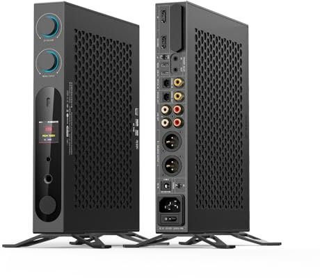 FiiO K19 Dual ES9039SPRO Desktop DAC HiFi Audio DSD512, 31-Band PEQ, XMOS XU-316 for HDMI/Coaxial/Optical Audio Decoder (Black)