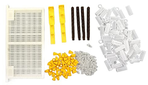 Kit d'élevage de Reine des Abeilles, Tasse de cellules d'apiculture, Ensemble de Cadres d'élevage de Reine des Abeilles pour Les apiculteurs