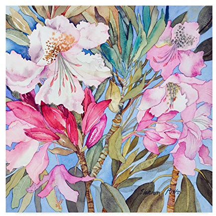 Trademark Fine Art Rhododendron Flowers by Sharon Pitts, 35x35-Inch