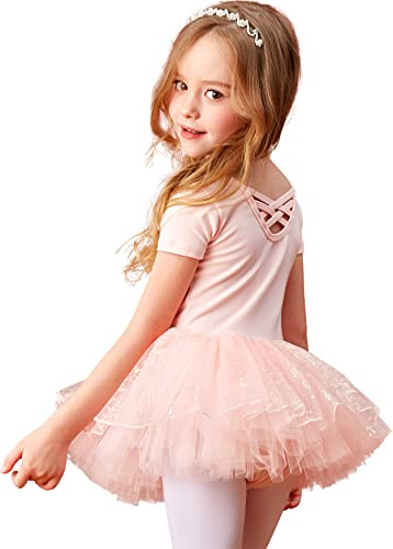 MdnMd Dance Ballet Tutu Leotards Ballerina for Toddler Girls Short Sleeve Shiny Colorful Skirt Dancewear (Ballet Pink, 2-4 Years)