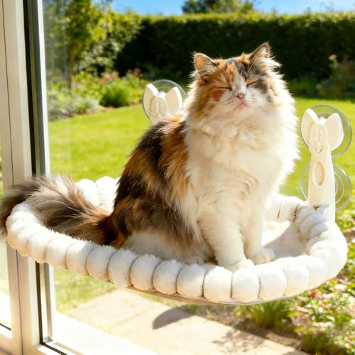 Euqvunn Amaca per Gatti，Capacità di Carico 15 kg con Cuscino Lavabile su Entrambi i Lati, Amaca Gatto per Gatti da Interno, Ideale per Prendere il Sole, Sonnellini e Osservare gli Uccelli