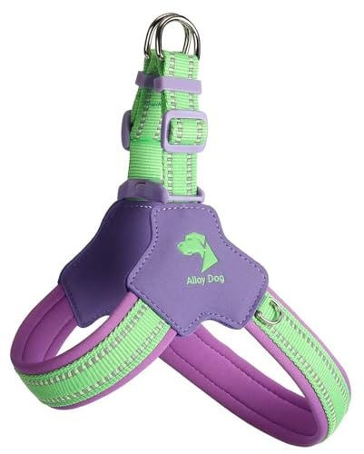Harnais Anti-Traction en Forme de Y spécialement conçu pour Les Boxer. Il est doté d'un Gilet de Poitrine rembourré et Ajustable avec Bandes réfléchissantes Purple M