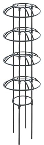 Trepador para Plantas de Interior | Soporte de Metal Resistente Antióxido - Enrejado Obelisco para Plantas | para Interiores, Exteriores, Invernaderos, Jazmines, Frutas, Verduras y Enredaderas