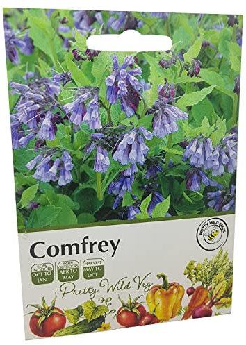 Comfrey Vegetable Fruit Seeds Veg Seeds Cabbage Carrot Sweetcorn Tomato Strawberry (Comfrey)
