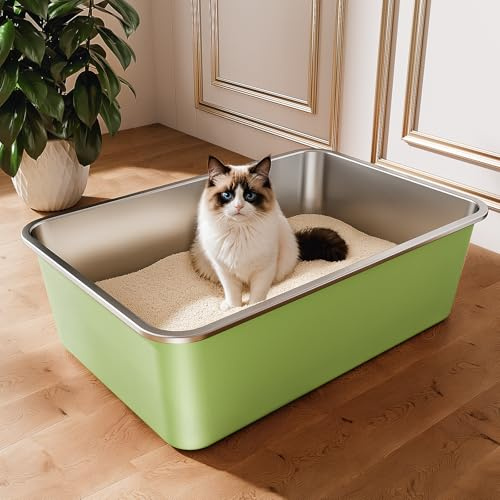 Bac Litiere pour Chat en INOX, Bac à Litière pour Grands Chats, Chatons et Lapins, Caisse Chat Litiere XXL, Litiere Toilette pour Maine Coon, Anti-Adhérent, Anti-Odeurs (Vert, 60 * 40 * 20cm)