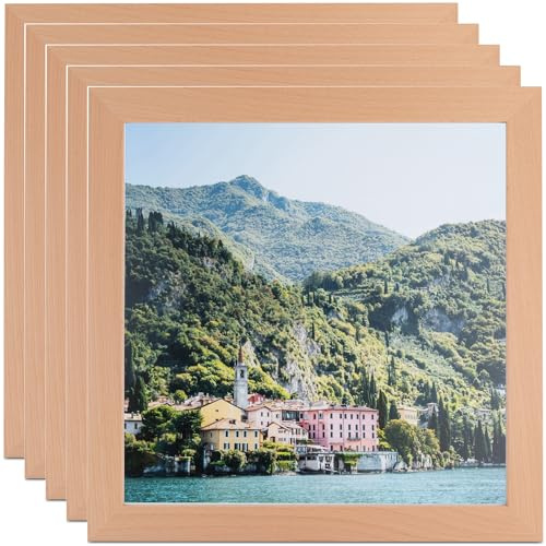 ArtToFrames 20x24 Inch Brown Picture Frame, 5 - Pack, This 1.25 inch Custom Wood Poster Frame is European Beech, Comes with Economy Acrylic (Frame_Pack_5_83626-430-20x24)