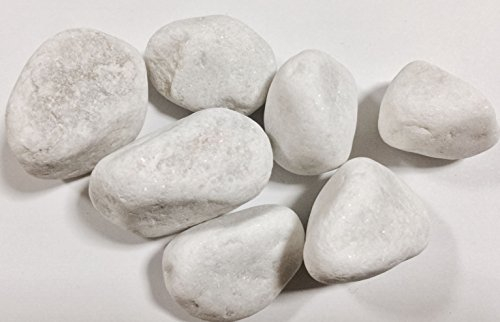 Kieselsteine Zierfische Farbe Weiß 5 – 8 cm/5 kg Boden Aquarium Teich Garten