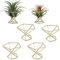 TRITAM 6 Piezas Soporte GeoméTrico para Plantas de Aire, Estantes para Plantas de Metal, Estantes para Macetas, DecoracióN Himmeli, Contenedores Tillandsia