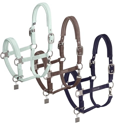 Halfter CORD DOUBLE PIN Classic Sports Frühjahr 2024