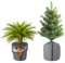 DKINY 2PCS Thermo Topfschutz 45x50cm Topfpflanzen Schutzbeutel für Pflanzen mit Reißverschluss Kordelzug Winterschutz für Kübelpflanzen vor Frost Blumentopfschutz Winterschutztopf für Palmen Draußen