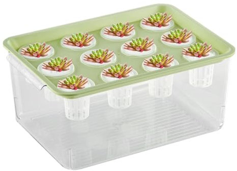 Support pour plantes d'aquarium – Panier de plantes pour aquarium | Pot de fleurs aquaponique et aquarium, pot de plantes d'aquarium | Favorise un environnement hydroponique sain pour la décoration de