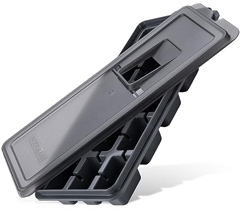 Fackelmann Stampo per Ghiaccio – Coperchio antigoccia, facile riempimento grazie all'ampia apertura, plastica di alta qualità, design moderno. Dimensioni: ca. 27,5 x 11 x 3,5 cm.