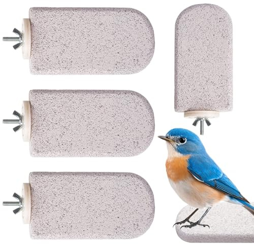 Fågelperch – blockgjuten leksak | fågelbur tillbehör | 4 stycken vulkaniska stenar frostad perchs stativ | fågel design gungfåglar abborre leksaksskepp | träningskotassrosett för ha