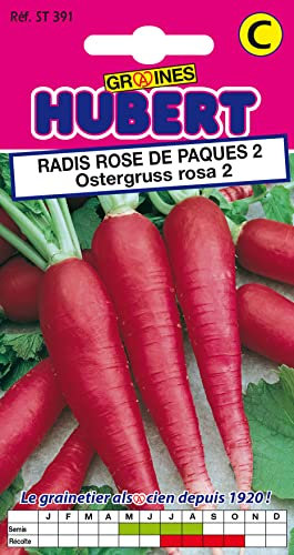 Graines de Radis Rose de Paques 2 Ostergruss Rosa 2-8 grammes