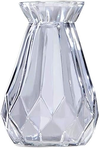 Pots de fleurs, pots de fleurs d'intérieur, vase, pot de fleurs.1 x Vase en verre de jacinthe, verre de jacinthe, vases à fleurs transparents, for décoration de plantes succulentes/systèmes d'air (14,