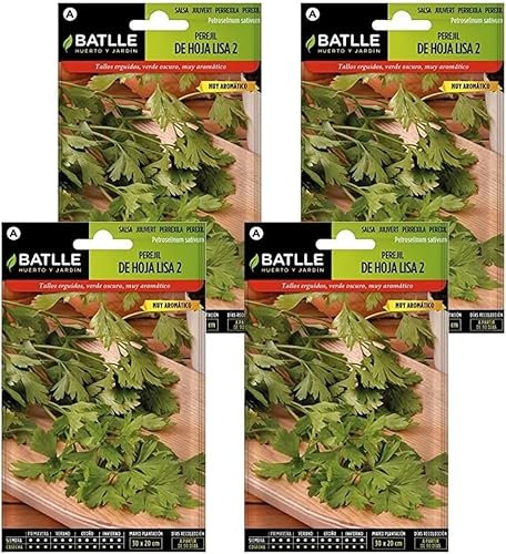 Pack 4 Semillas de perejil de hoja lisa Semillas Batlle