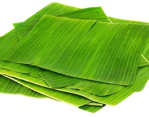 Färska bananblad, stora gröna, 10-pack för traditionell matlagning