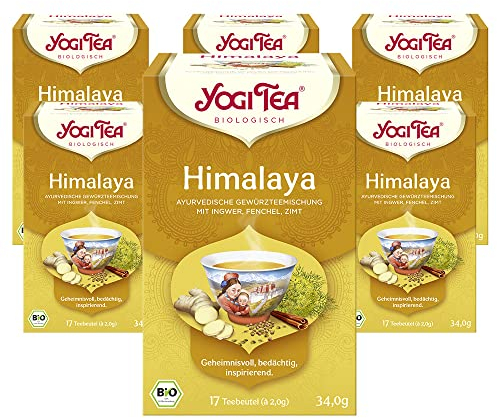 YOGI TEA, Himalaya, Infusion Bio, Tisane Naturellement Sans Caféine, Mélange de Gingembre, Fenouil et Cannelle, 102 (6x17) Sachets de Thé