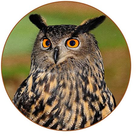 Mekeelie - Pinza para remaches de inserción, herramientas de mano para tirar del núcleo de los remaches y herramientas de bricolaje para coche, color amarillo y negro.