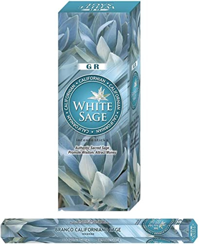 13 di Ilaria White Sage – 1 rör med 20 rökelsepinnar – naturlig indisk rökelse – för meditation, aromaterapi, yoga & rening – över 50 dofter tillgängliga