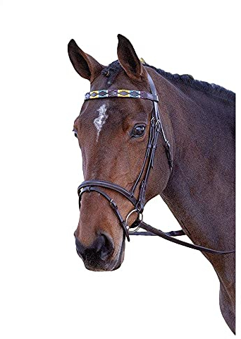 Blenheim - Pferde-Stirnriemen, Leder, Polo (Cob) (Violett/Dunkelgrün/Gelb)