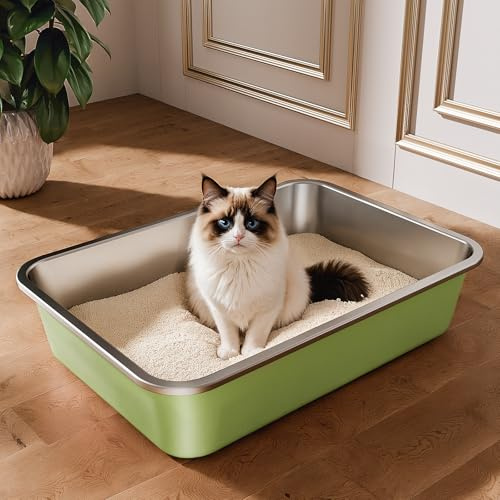 Bac Litiere pour Chat en INOX, Bac à Litière pour Grands Chats, Chatons et Lapins, Caisse Chat Litiere XXL, Litiere Toilette pour Maine Coon, Anti-Adhérent, Anti-Odeurs (Vert, 50 * 35 * 10cm)