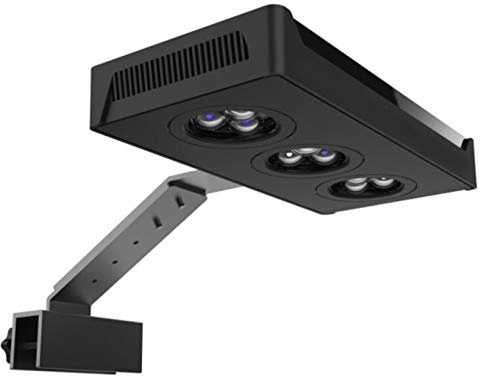 Luce per Acquario A LED, 30 W di Illuminazione per Acqua Salata Chip di Controllo Touch Staffa Regolabile con Regolazione A 10 Livelli per Coral Light Reef Marine Nano Tank Acquari Ornamentali