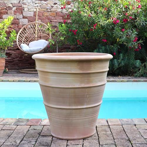 Palatina - Vaso da fiori in terracotta realizzato a mano, resistente al gelo, per giardino, balcone o terrazzo, Yucca (60 cm)