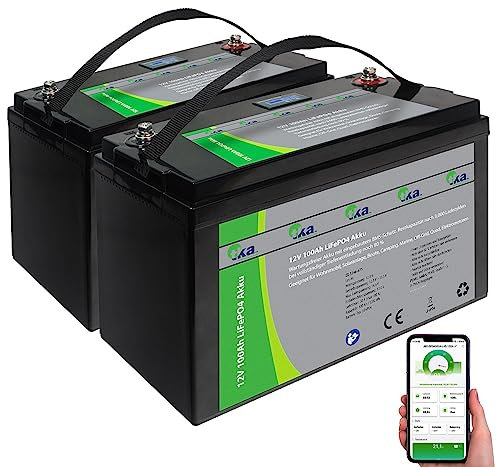 tka Köbele Akkutechnik Batterie LiFePO4 avec BMS : lot de 2 batteries LiFePO4 de 12 V, 100 Ah / 1280 Wh, BMS, écran, application (stockage de batterie photovoltaïque, stockage solaire)
