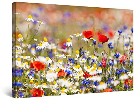 Startonight Quadro su Tela Paesaggio Foto Fiori Campo Colorato, Quadri Moderni Stampe Camere da Letto Stampe Incorniciate 60x90 cm, Decorazione Parete, Idea Regalo Elegante Luminoso al Buio