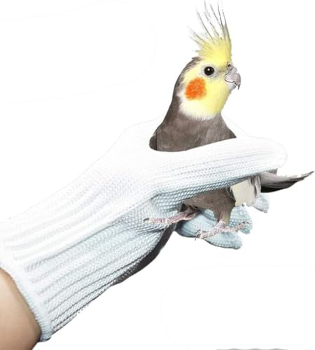 FORZENA Lot de 2 gants de dressage anti-morsure pour perroquet, conures, calopsittes, perroquets, pinsons, aras, perruches africaines (blanc)