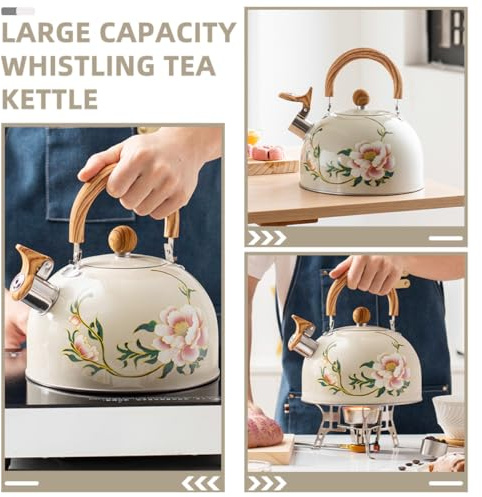 MAGICLULU Bouilloire à Sifflet 3L en Acier Inoxydable Poignée Bouilloire de Camping pour Cuisinière Théière Portable Grosse Capacité Randonnée et Activités Outdoor