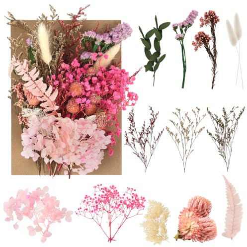 AMFUN Fleurs Séchées, Naturelles Vraies Fleurs Pressées Décoration, Ensemble de Fleurs Séchées Naturelles, pour Bricolage Résine Epoxy Bijoux Floraux DIY Bougie Fabrication Artisanale Scrapbooking