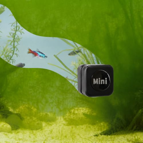 LYZHZHIUONGEI Aquarium Magnetic Brush, 3cm Mini Fish Tank Glass Cleaner Strong Magnet Cleaning Tool,Stain Scrubber Pads Aquarium Cleaning Tool for 3 mm to 5 mm Thick Aquariums up to 40 L (Black 1 Pc)