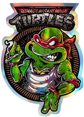 Deal - Lote de 100 bolsas con cremallera retráctiles, bolsa de plástico y aluminio | Antiolor, hermético, diseño original I Turtles