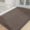 BEQHAUSE Dirt Trapper Door Mat 80x120cm, Indoor Mats Non-Slip Machine Washable Entry Rug, Dog Door Mat, Absorbent and Stain Resistant Welcome Mat for Front Back Door, Muddy Wet Shoes&Paws, Light Brown