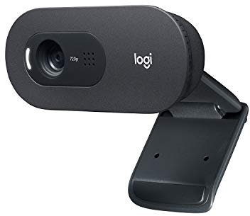 Logitech C505 HD Webcam - 720p HD External USB Camera for Desktop or Laptop with Long-Range Microphone, Compatible with PC or Mac - Grey (Renewed)