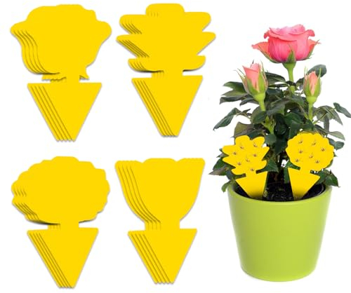 20 Pièces Double Face Attrape Mouche, Anti Moucheron Plante Interieur, Piege a Moucherons Interieur, Pièges à Insectes pour Balcon, Ferme, Jardin Arrière