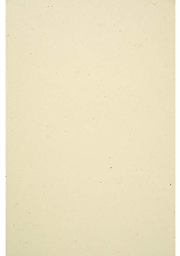 Netuno 50 cartoncini ecologici tabacco formato A4 21 x 29,7 cm 240g Flora Tabacco cartoncini naturali colorati riciclati per biglietti da visita cartelline copertine inviti partecipazioni fai da te