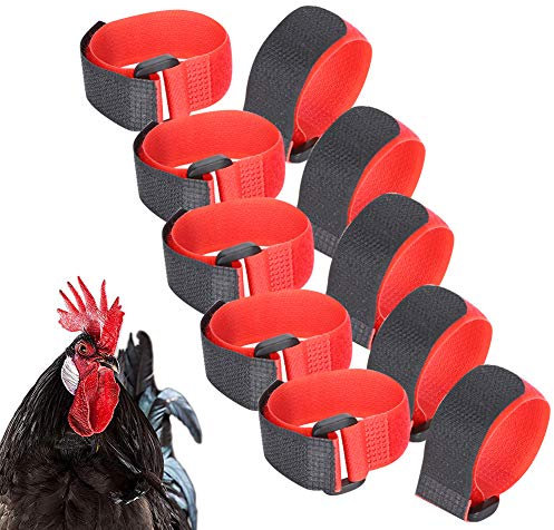 Hahngeräusch-Halsband, Hühnerbedarf, Nylon-Halsband, Anti-Haken-Halsband, 5 Taschen, Haustier-Huhn-Versorgung, Lärmhals, für größere Haustiere, Hühner für Haustiere