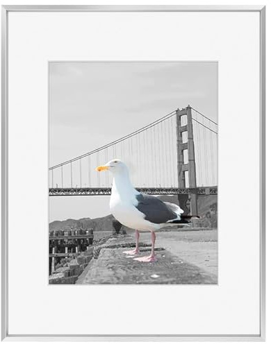 Frametory, 16x20 Metal Picture Frame with Mat for 11x14 Picture & Real Glass, Aluminum Photo Frame Collection (Silver, 1 Pack)