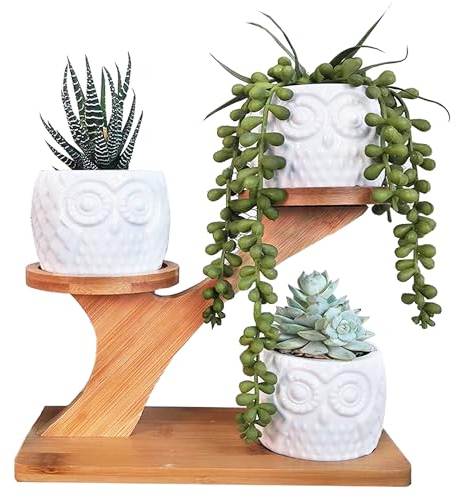 MINGZE Paquet de 3 Pots de Plantes en céramique succulentes Hibou pour Bureau à Domicile (avec Support en Bois), Pot de Fleur en Pot de Combinaison