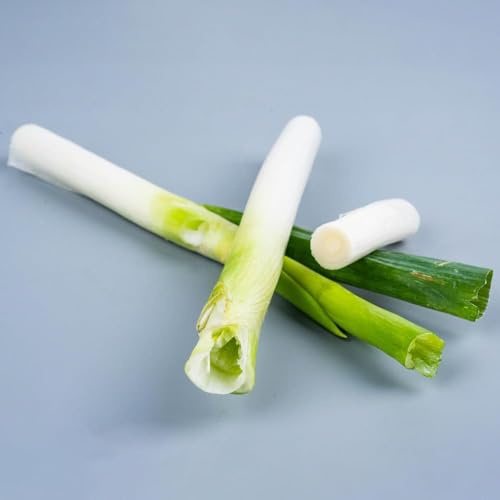 10 piezas semillas de cebolleta perenne de balcón resistentes Cebollas primavera jardín semillas puerro, balcón