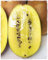 Pflanze von KIWI gelb 'AIROGOLD' Autofertile - im Topf 11 x 11 cm - H. 50/60 cm
