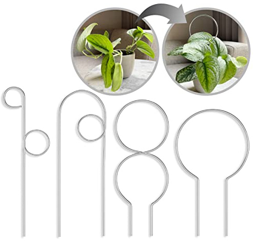 LOOPSEED Piccolo traliccio in metallo per piante da interno, paletto per piante rampicanti, supporto per piante in vaso, orchidee, Monstera, Pothos, edera, Hoya, filodendro, set di 4 (semplicemente