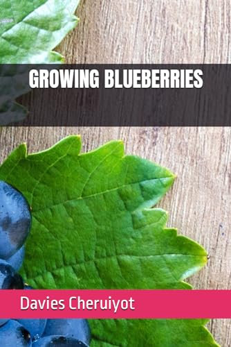 GROWING BLUEBERRIES (Fruits farming)