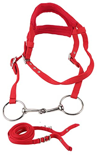 flexman Bride de Cheval Rouge, Bride de Cheval Réglable à Double Pont, Harnais de Rênes avec Coussin Doux, Mors et Rênes pour Courses de Chevaux, Spectacles Équestres