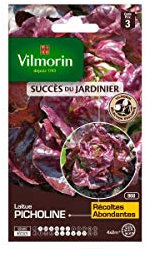 Vilmorin - Sachet graines Laitue Picholine pommée